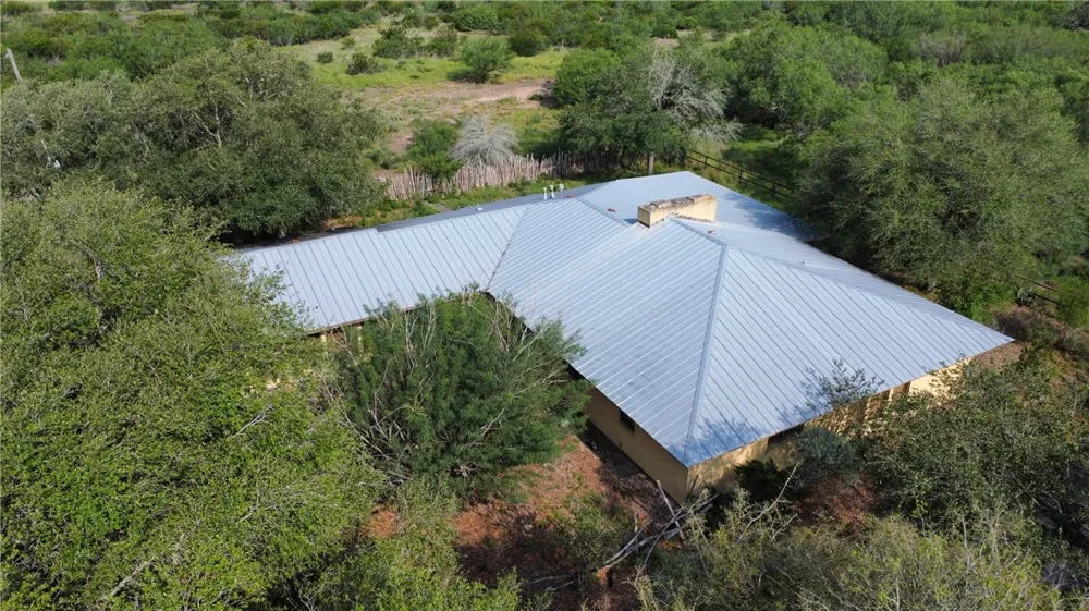Honey Mesquite Freer, TX 78357