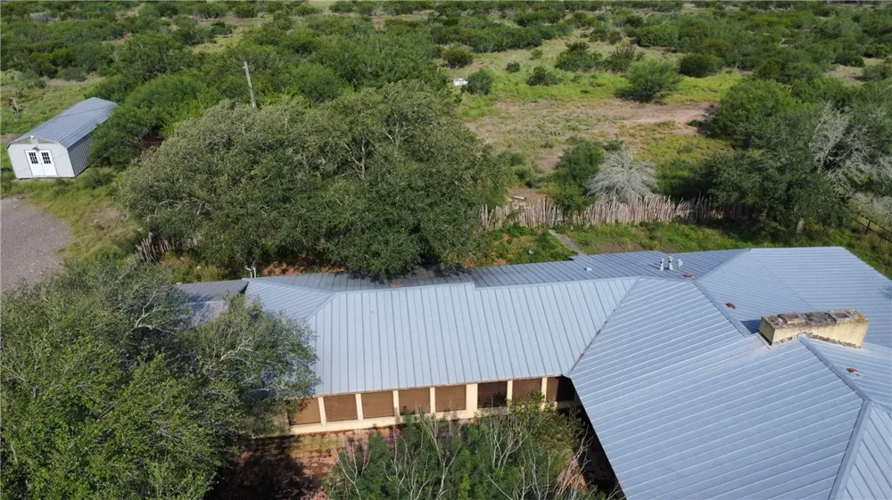 Honey Mesquite Freer, TX 78357