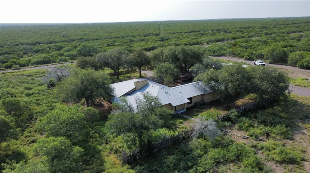 Honey Mesquite Freer, TX 78357