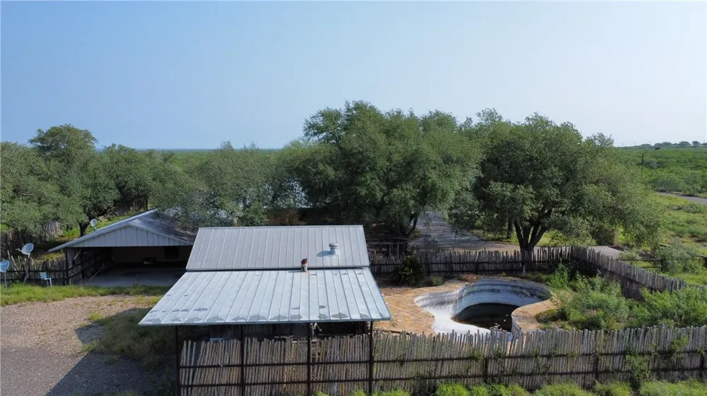 Honey Mesquite Freer, TX 78357