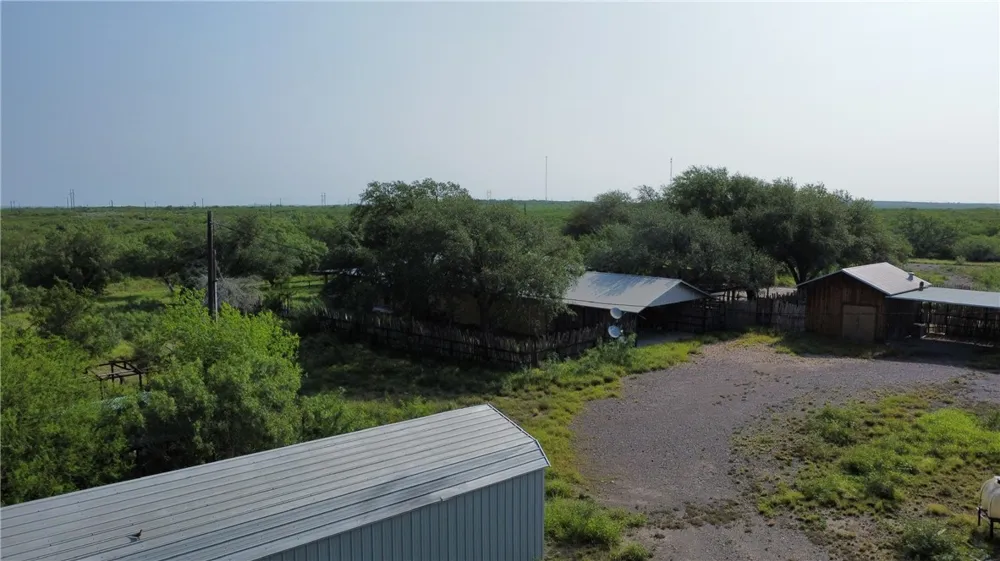 Honey Mesquite Freer, TX 78357