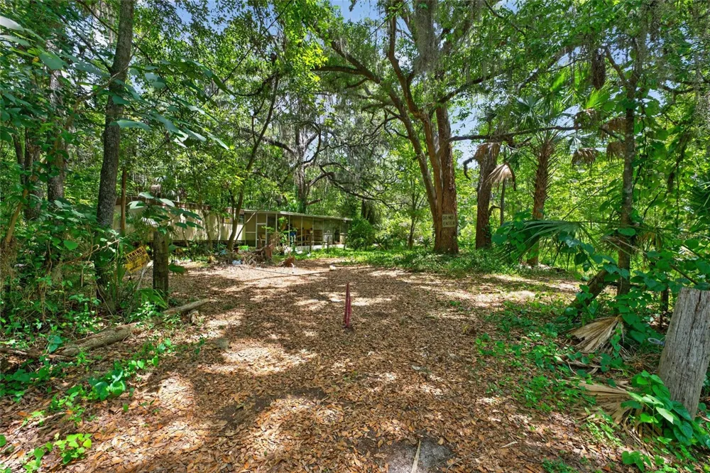 5725 NW 219TH STREET ROAD Micanopy, FL 32667