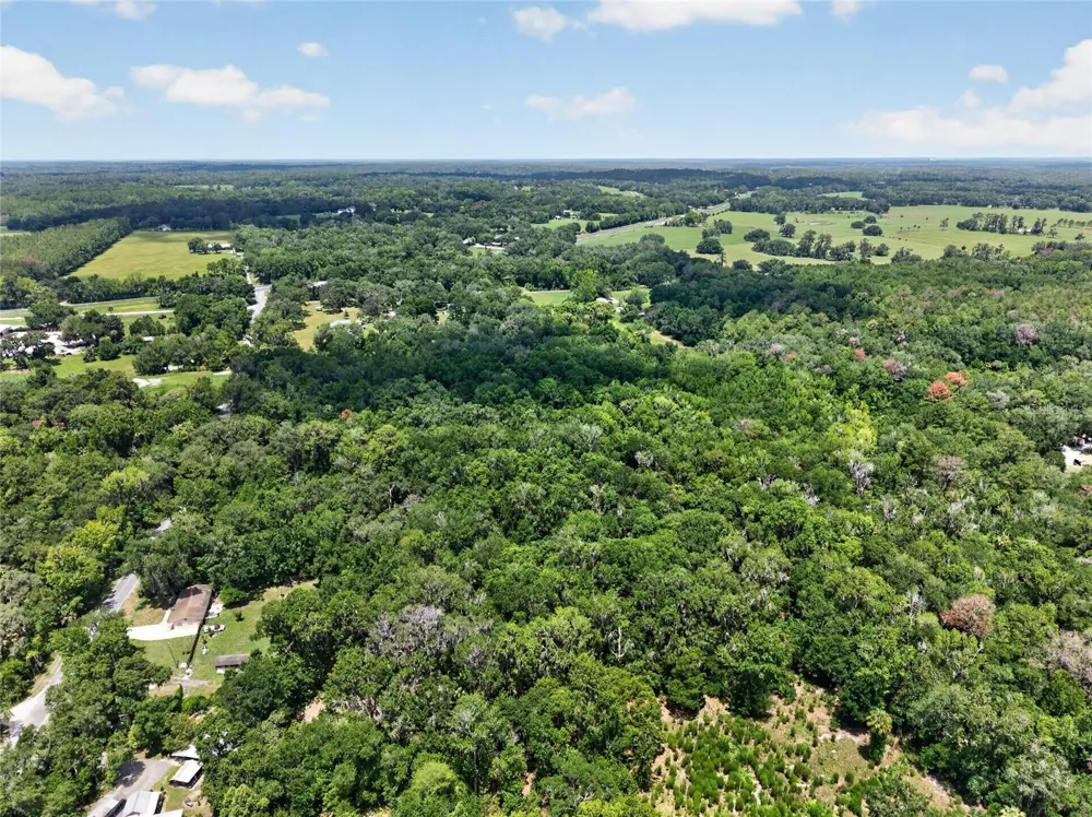 5725 NW 219TH STREET ROAD Micanopy, FL 32667