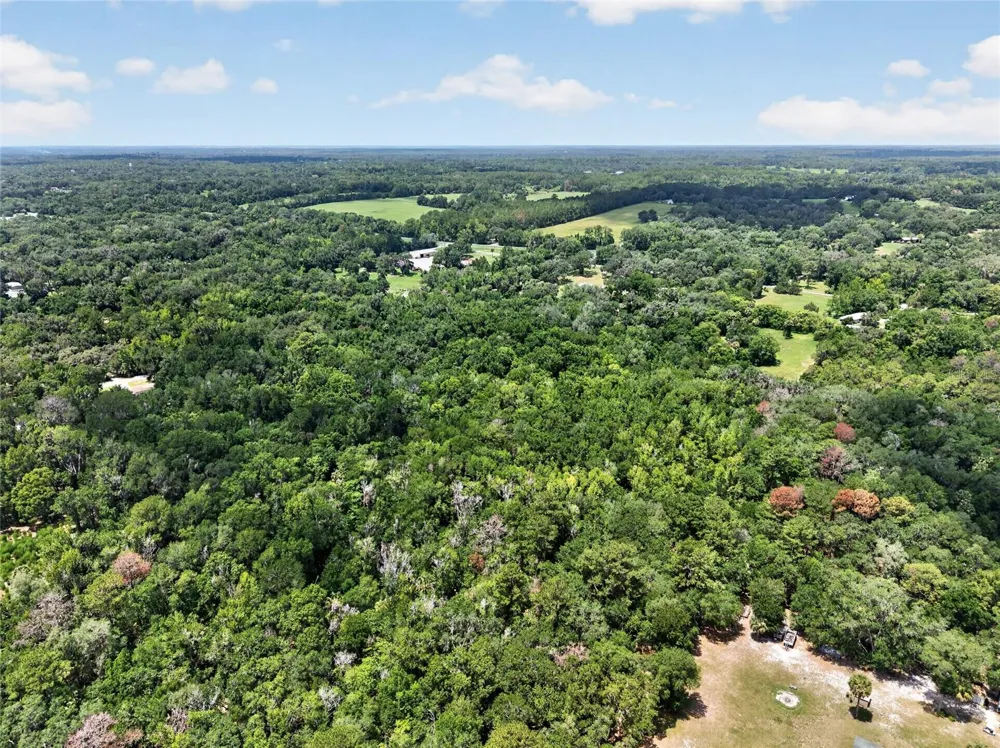 5725 NW 219TH STREET ROAD Micanopy, FL 32667