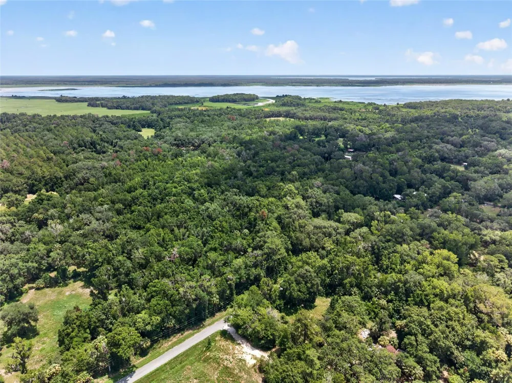 5725 NW 219TH STREET ROAD Micanopy, FL 32667