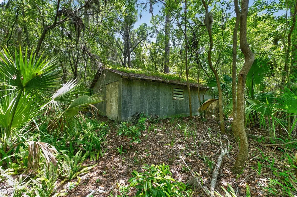 5725 NW 219TH STREET ROAD Micanopy, FL 32667