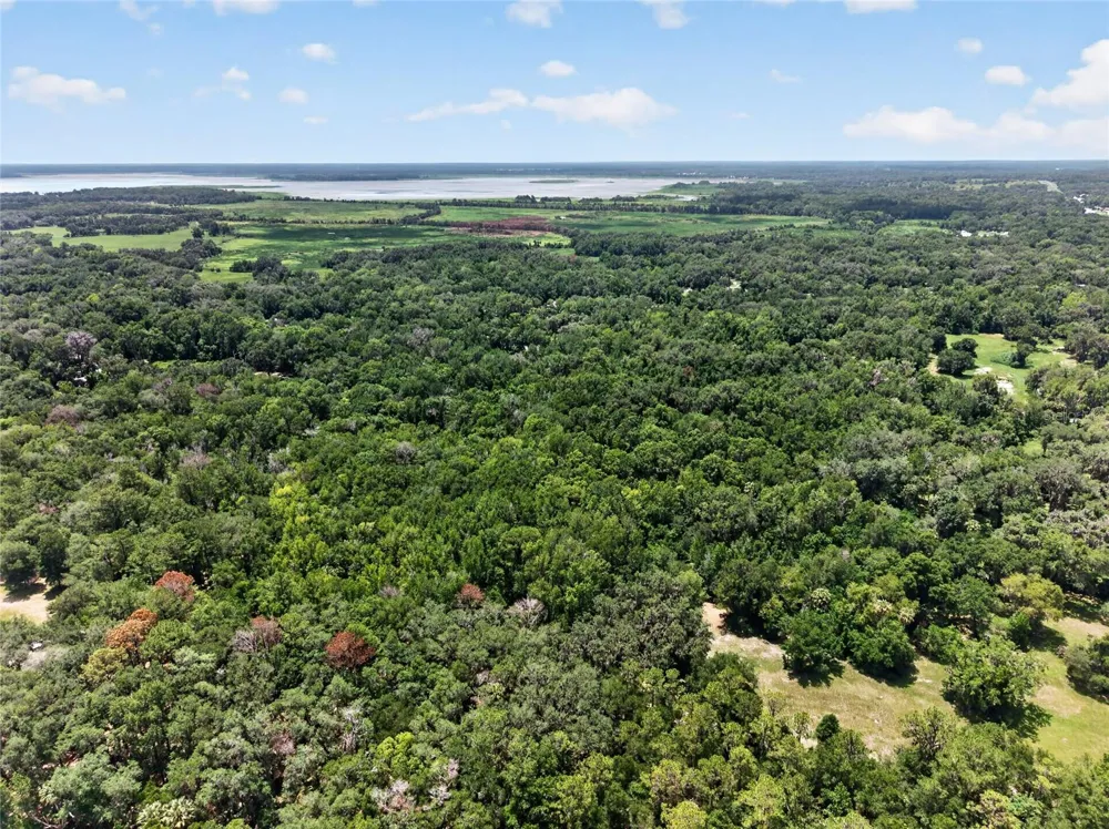5725 NW 219TH STREET ROAD Micanopy, FL 32667