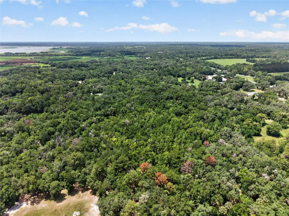 5725 NW 219TH STREET ROAD Micanopy, FL 32667