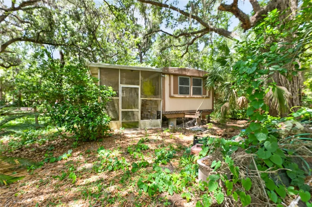 5725 NW 219TH STREET ROAD Micanopy, FL 32667