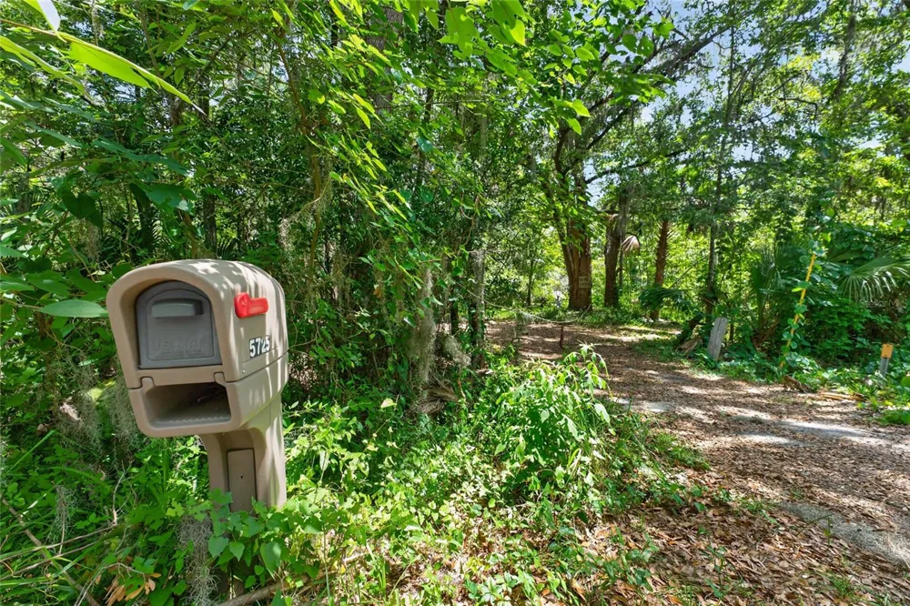 5725 NW 219TH STREET ROAD Micanopy, FL 32667