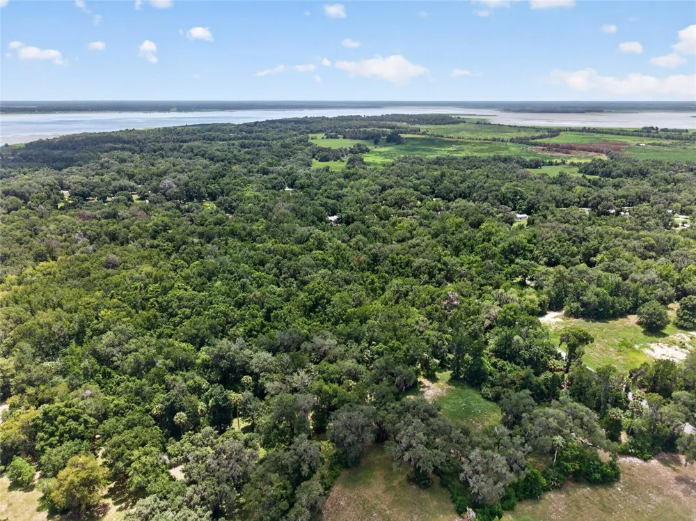 5725 NW 219TH STREET ROAD Micanopy, FL 32667