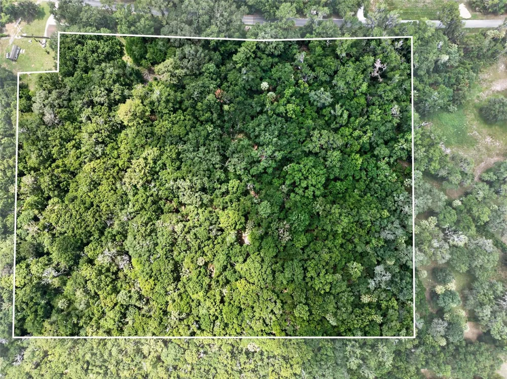 5725 NW 219TH STREET ROAD Micanopy, FL 32667