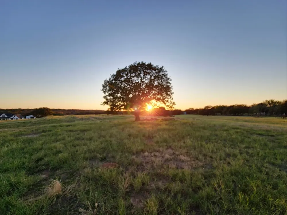 4001 Margarets Meadow Weatherford, TX 76087