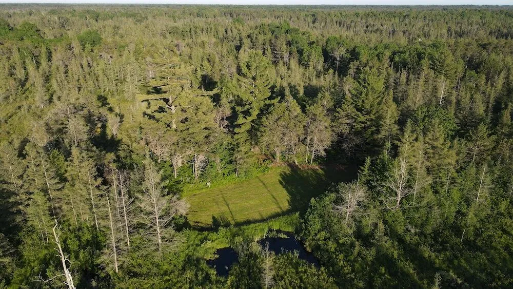 Knute Road East Tawas, MI 48730