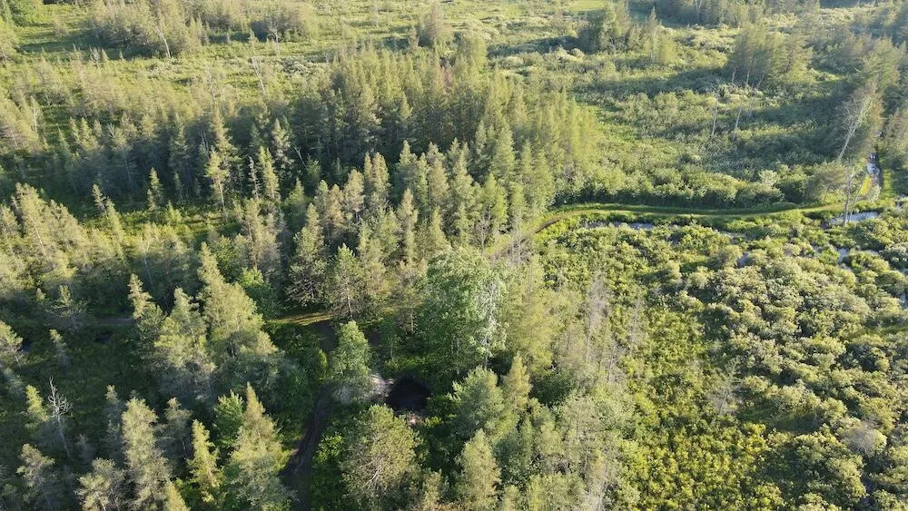 Knute Road East Tawas, MI 48730