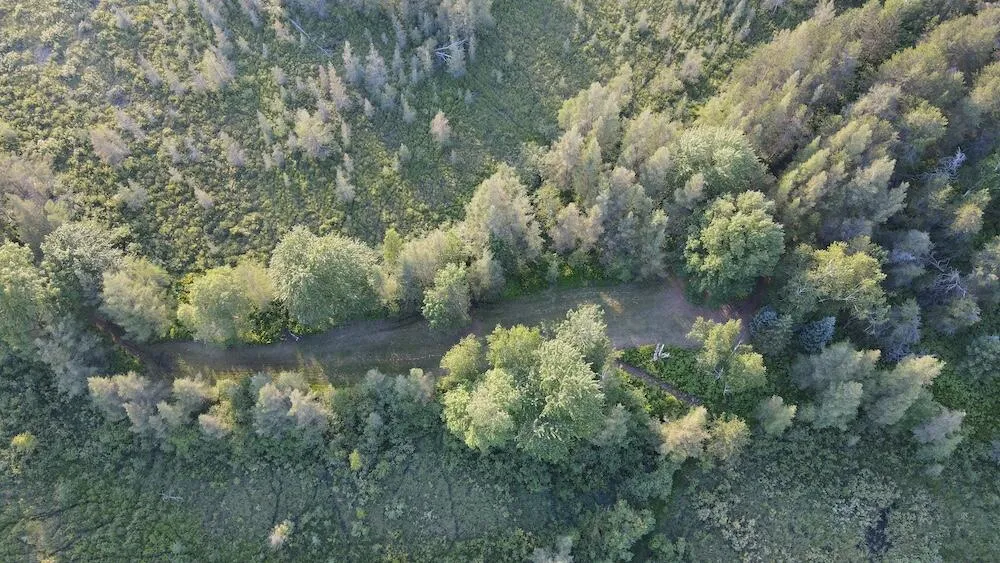 Knute Road East Tawas, MI 48730