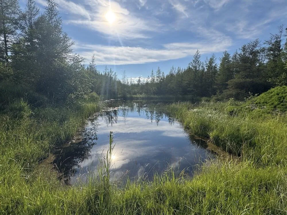 Knute Road East Tawas, MI 48730