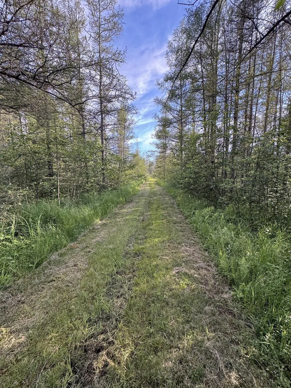 Knute Road East Tawas, MI 48730
