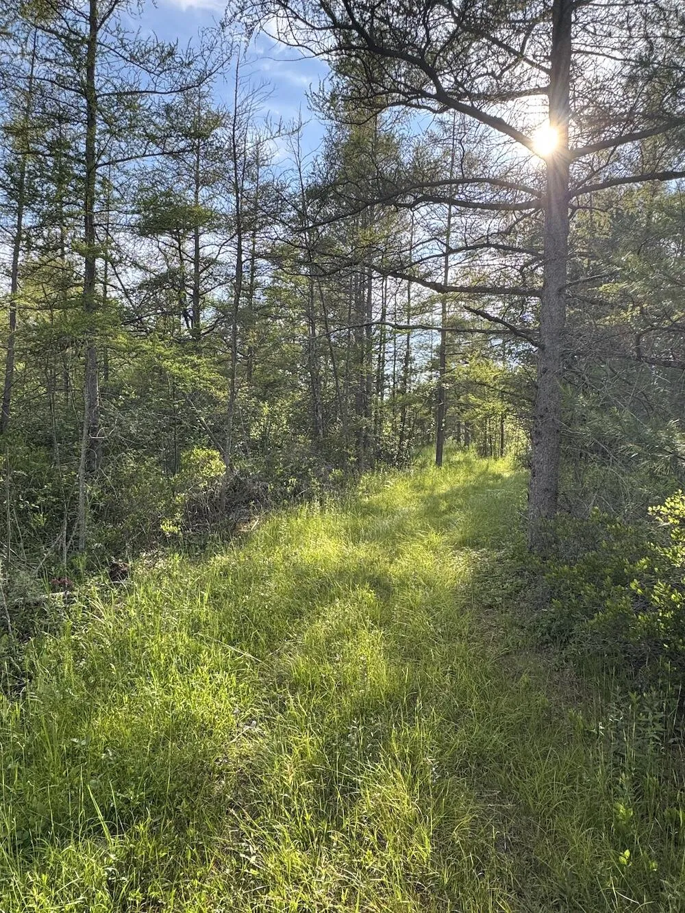 Knute Road East Tawas, MI 48730