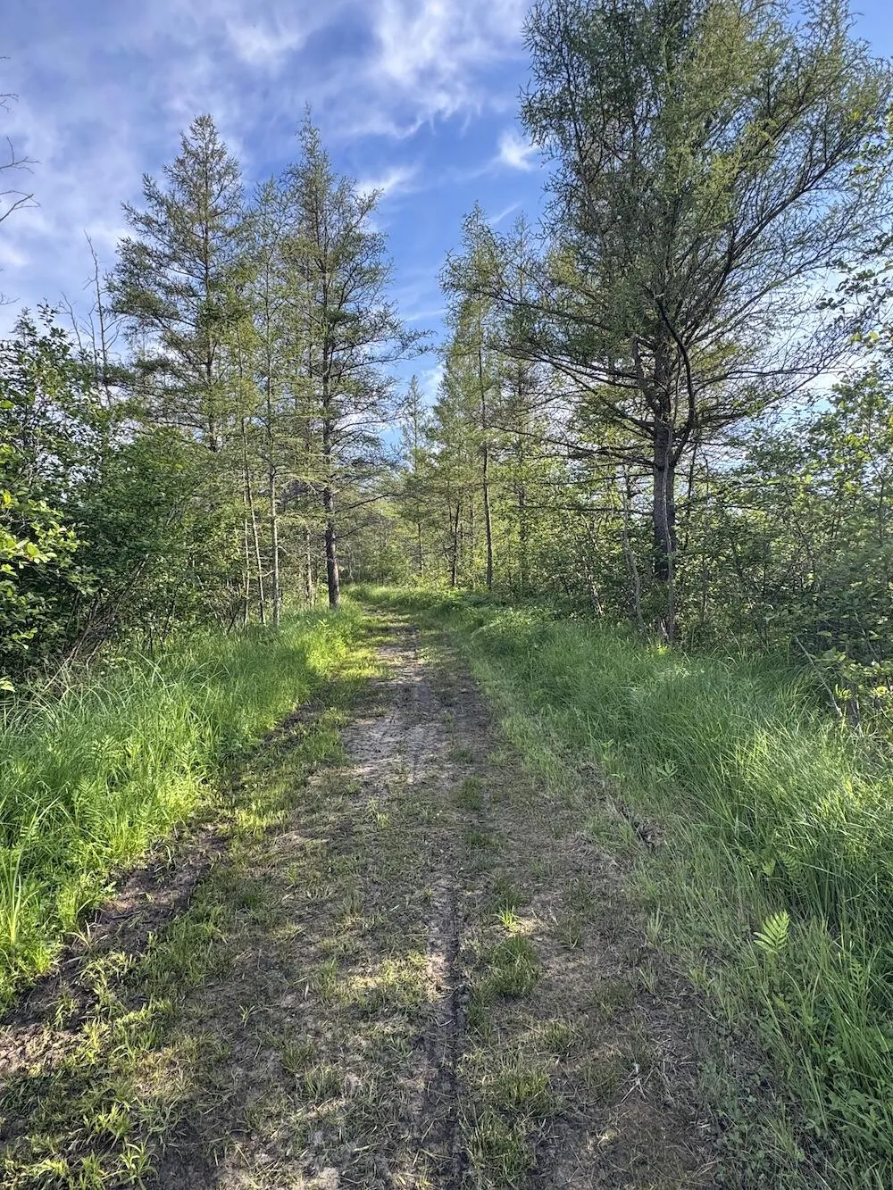 Knute Road East Tawas, MI 48730