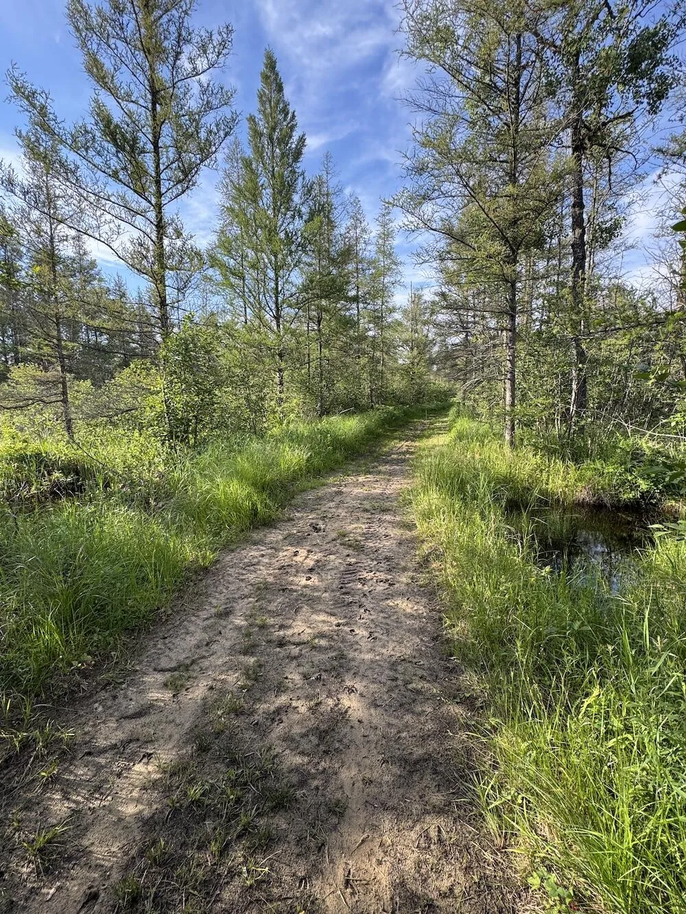 Knute Road East Tawas, MI 48730