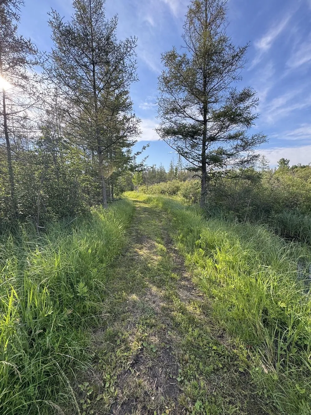 Knute Road East Tawas, MI 48730
