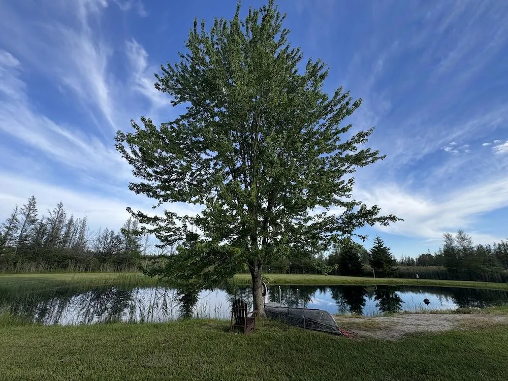 Knute Road East Tawas, MI 48730