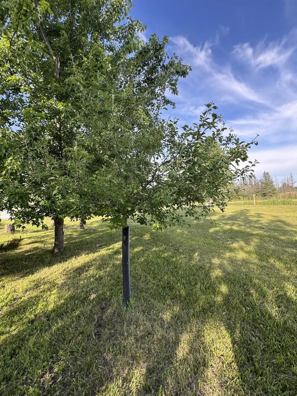 Knute Road East Tawas, MI 48730