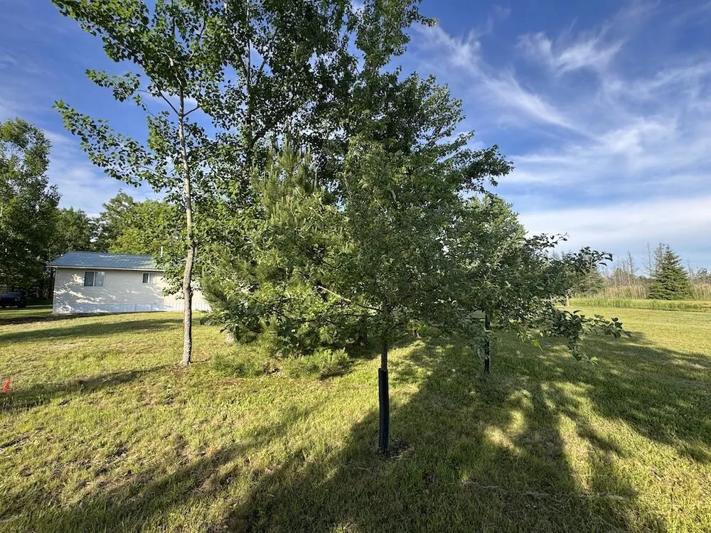 Knute Road East Tawas, MI 48730