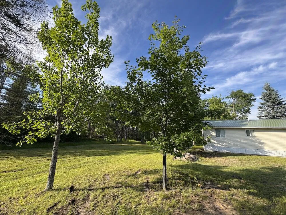 Knute Road East Tawas, MI 48730
