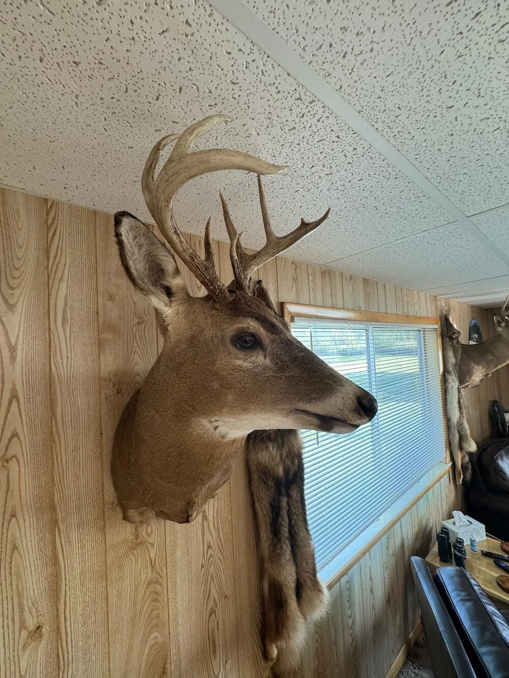 Knute Road East Tawas, MI 48730