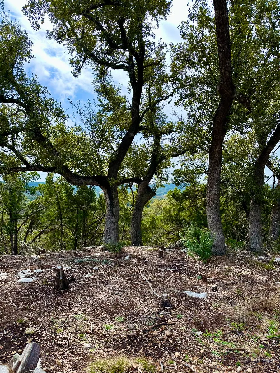 795 Cimarron Spring Branch, TX 78070