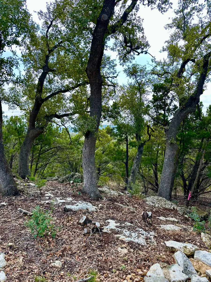 795 Cimarron Spring Branch, TX 78070