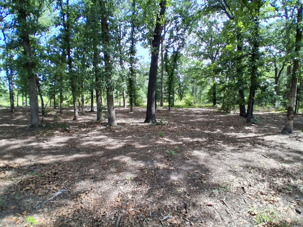 1325 Private Road 7905 Hawkins, TX 75765
