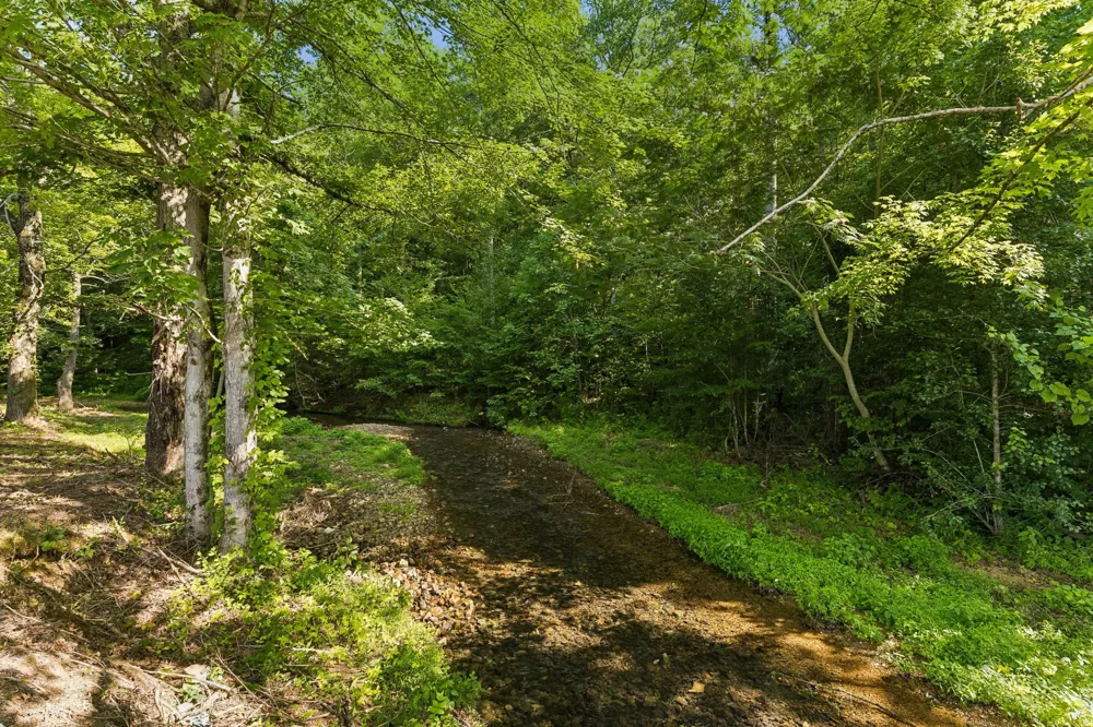 1513 Centerville Hwy Hohenwald, TN 38462