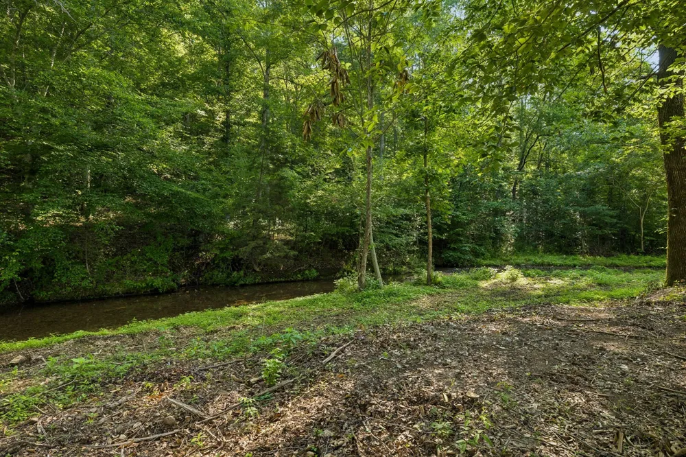 1513 Centerville Hwy Hohenwald, TN 38462