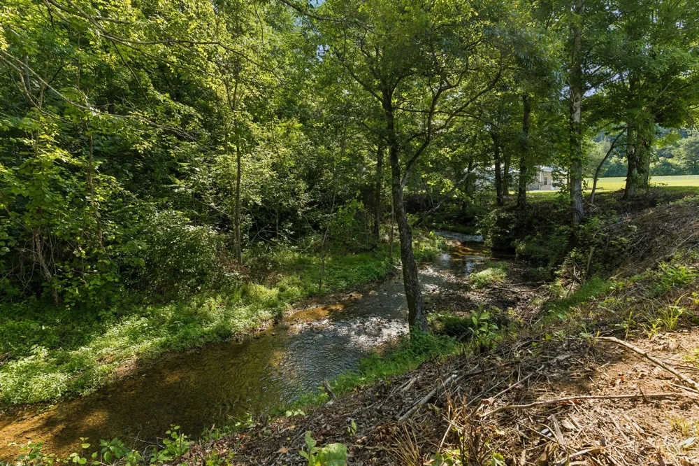 1513 Centerville Hwy Hohenwald, TN 38462