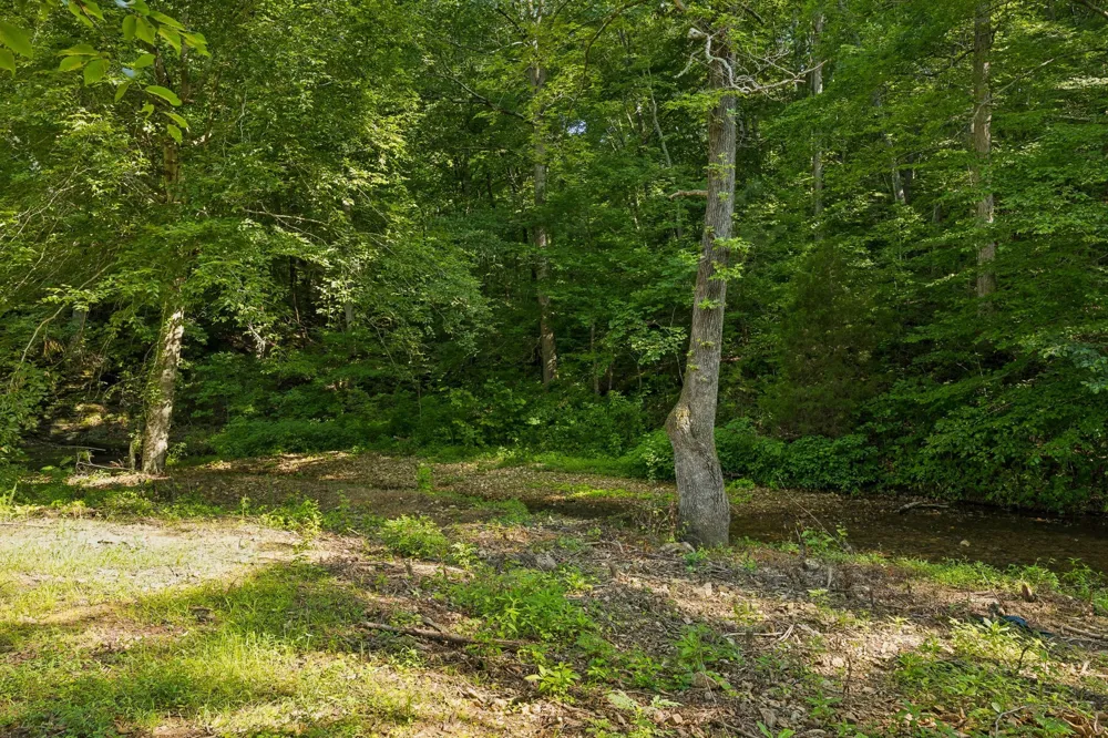 1513 Centerville Hwy Hohenwald, TN 38462