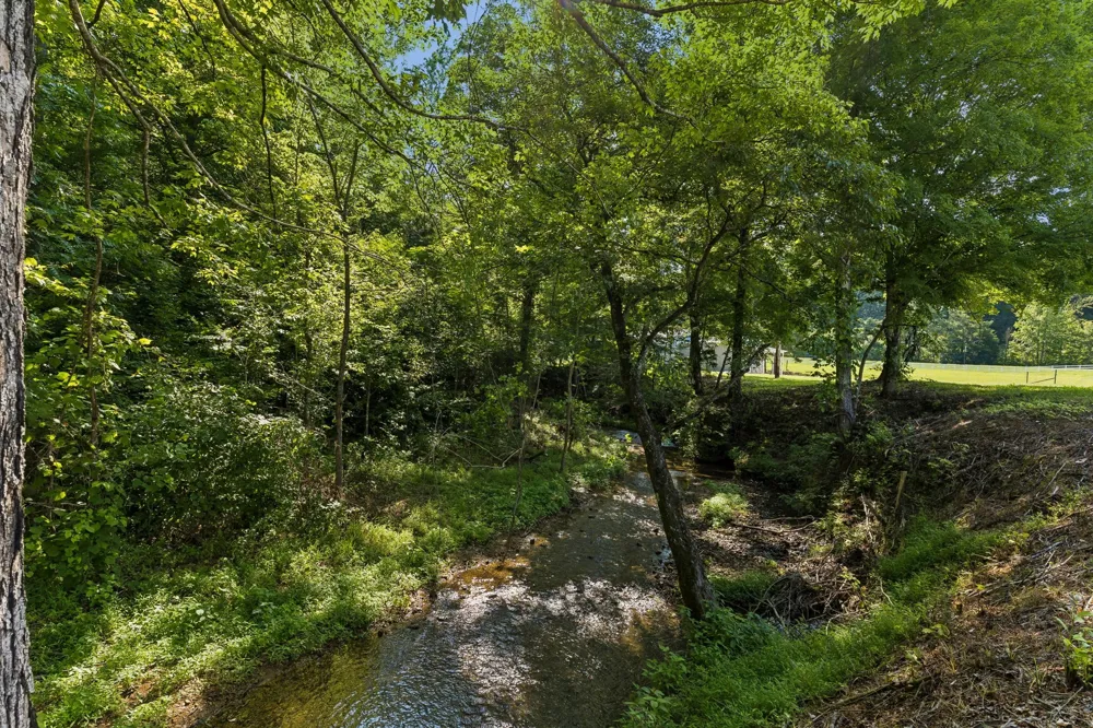1513 Centerville Hwy Hohenwald, TN 38462