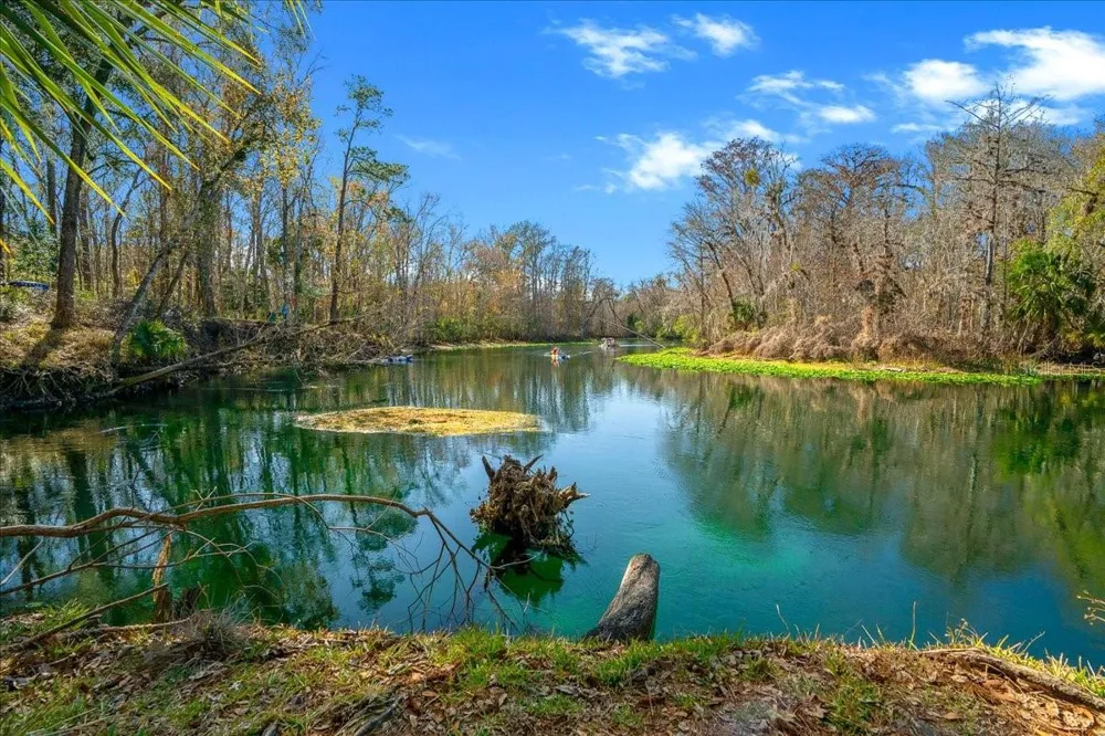10371 NE 28TH LOOP Silver Springs, FL 34488