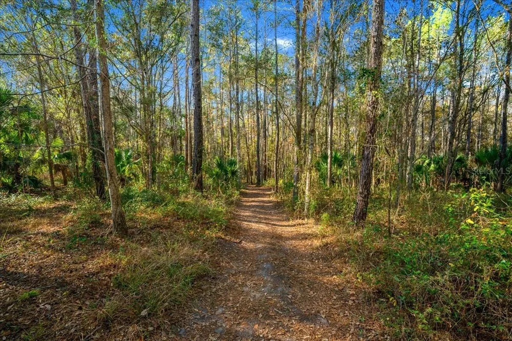 10371 NE 28TH LOOP Silver Springs, FL 34488