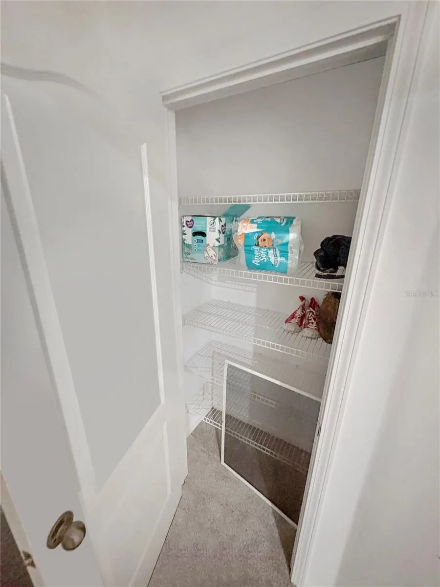 4924 CHATHAM GATE DRIVE Riverview, FL 33578
