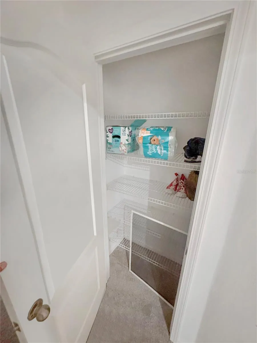4924 CHATHAM GATE DRIVE Riverview, FL 33578