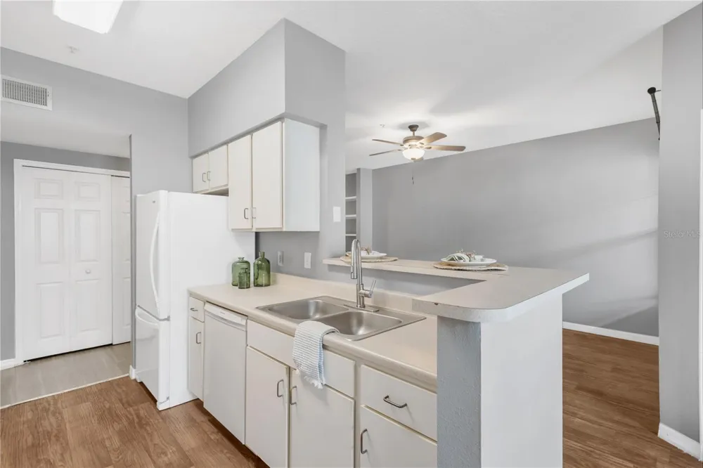 1810 E PALM AVE #6204 Tampa, FL 33605