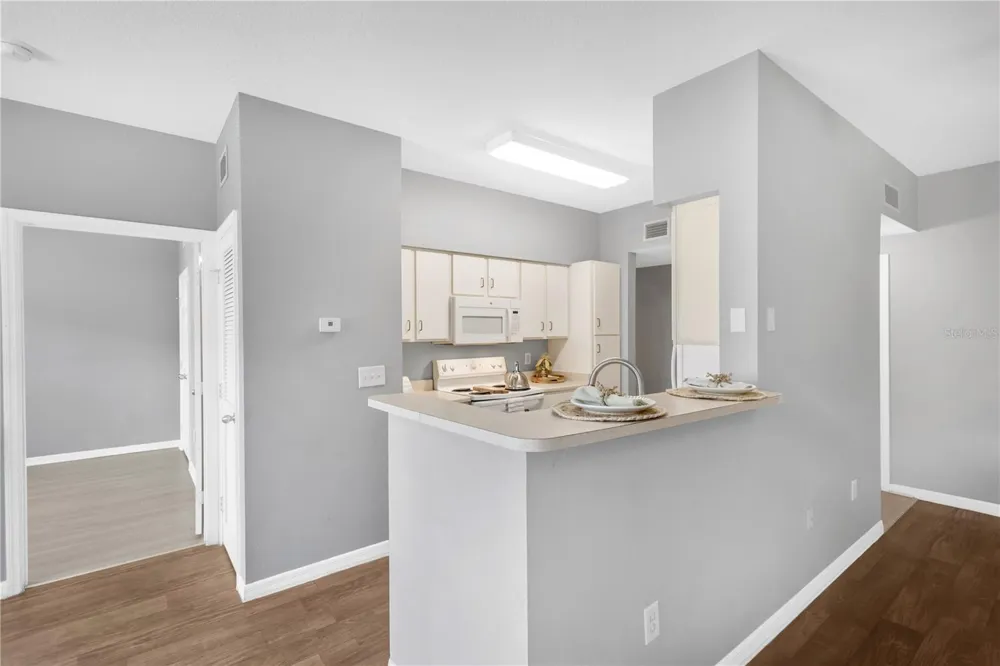 1810 E PALM AVE #6204 Tampa, FL 33605