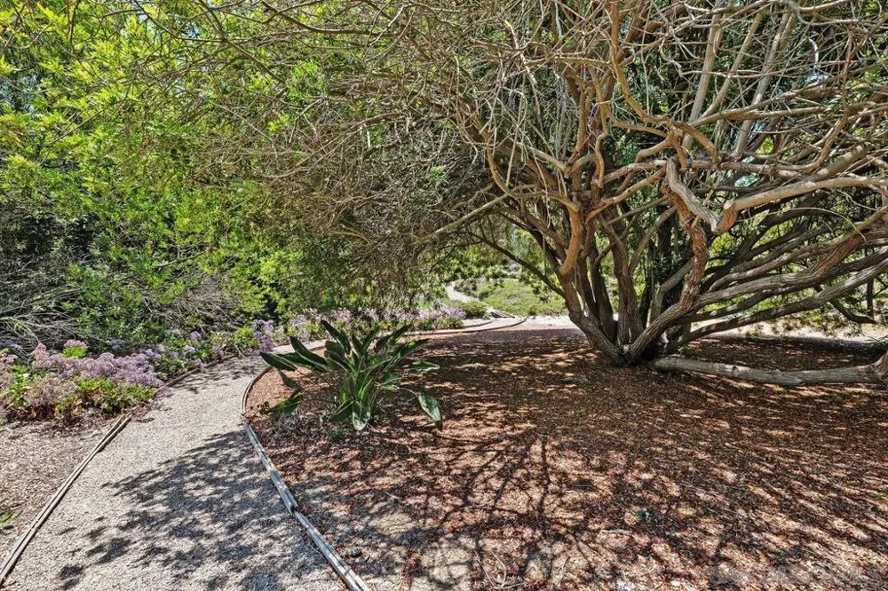 17240 Avenida De Acacias Rancho Santa Fe, CA 92067