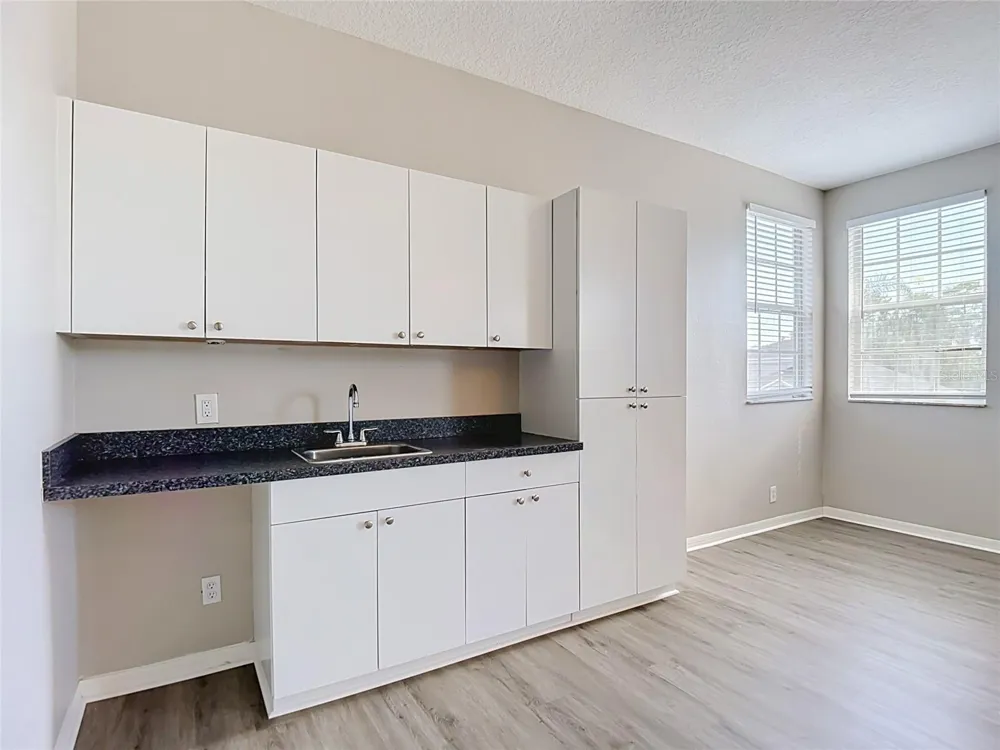 10739 EVENINGWOOD COURT Trinity, FL 34655
