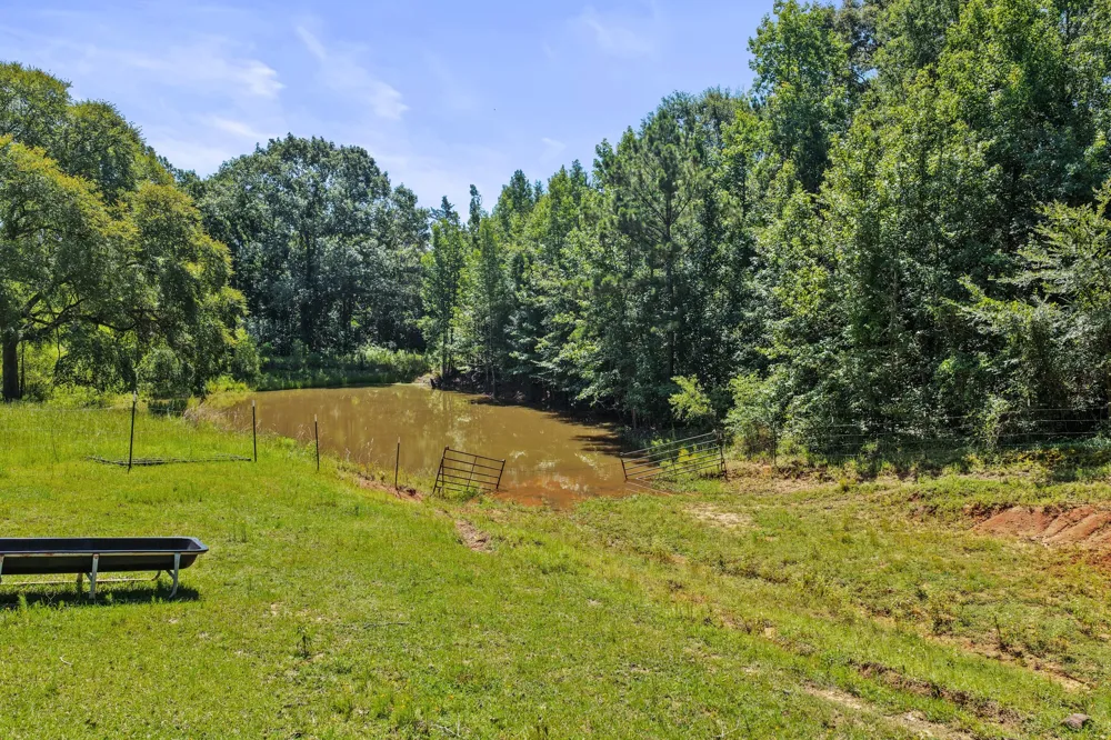 1710 COUNTY ROAD 2928 Hughes Springs, TX 75656