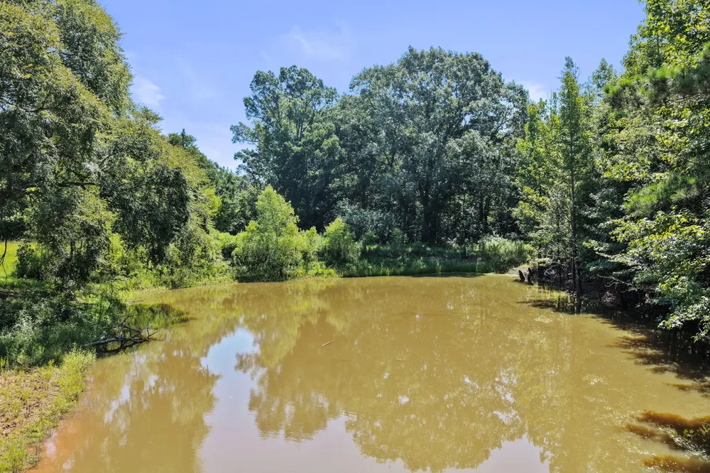 1710 COUNTY ROAD 2928 Hughes Springs, TX 75656