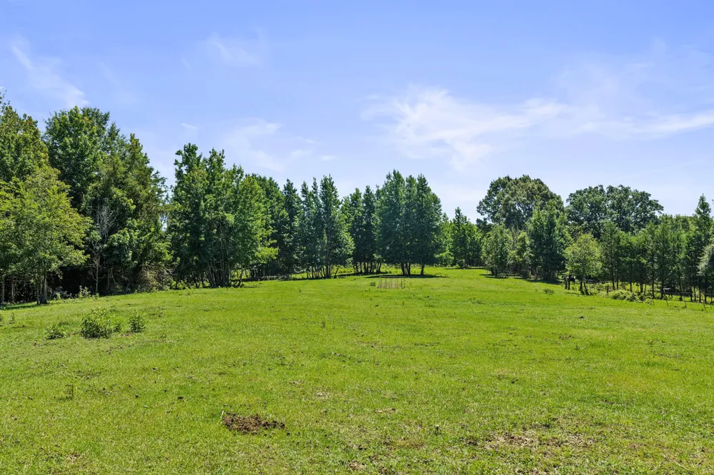 1710 COUNTY ROAD 2928 Hughes Springs, TX 75656